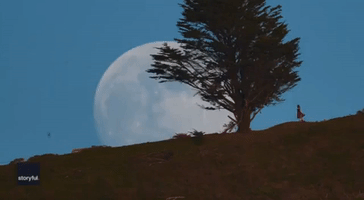 Spectacular Moonrise Sets Backdrop for 'Moon Dance' in California Park