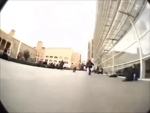 elcarlsd giphygifmaker mongo sakte josh kalis GIF