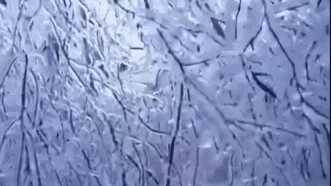 canada glace GIF by BFMTV
