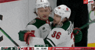 Happy Ice Hockey GIF by NHL