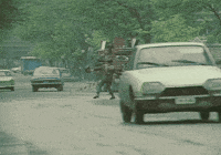 Film Hungarian GIF