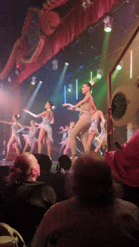 Bristol GIF by Stella 52
