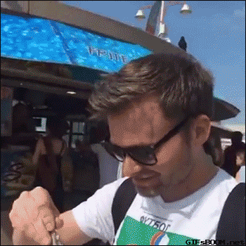 seagull GIF