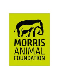 Dog Sticker by Morris Animal Foundation