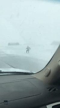 Whoa! Man Skis Behind Horse and Buggy in Minnesota