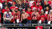 Gobucks GIF by Ohio State Athletics