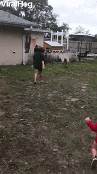 Dog Baby GIF by ViralHog