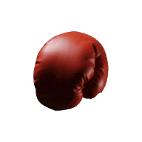 Boxedeverdade Sticker by Crossboxing