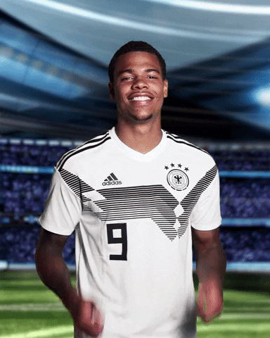 sportschau sticker germany uefa deutschland GIF