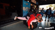 Gogo Calvo GIF