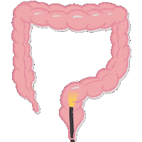 Colon Scope Sticker