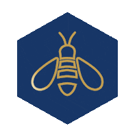 New Zealand Icon Sticker by Mānuka Health New Zealand