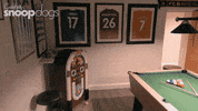 Channel 4 Dogs GIF by Stellify Media