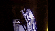 Steven Tyler 1980S GIF by Aerosmith