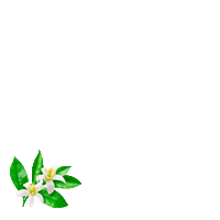 Garnier Bio Sticker by trnd