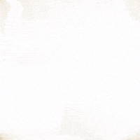 Hard Rock Beach GIF by College Football Playoff