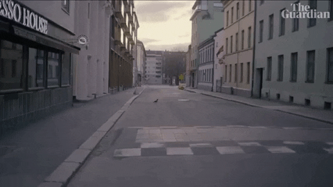 Street Road GIF by guardian