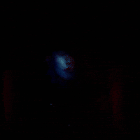 Eyes Glow GIF by Allison Ponthier