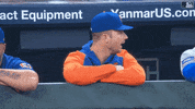 Major League Baseball Sport GIF by New York Mets