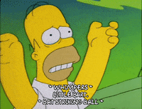 homer simpson GIF