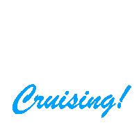 Travel Holiday Sticker by The Cruise Dudes