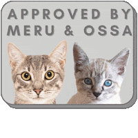 Meru Sticker