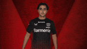 Leverkusen Vbl GIF by Bundesliga