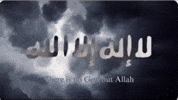 Mttalha9 GIF