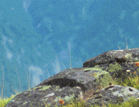 Groundhog Day What GIF by ENSI
