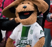 Boina Lafe GIF by LIBERUM