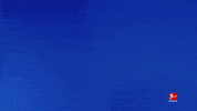 Greeting Tsg Hoffenheim GIF by Bundesliga