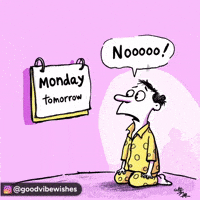 Confused Work From Home GIF