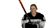 Sticker by Providence Friars