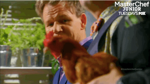 masterchef junior GIF by Fox TV