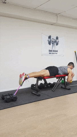 ONEBODY giphyupload homeworkout אימוןביתי גומייה GIF