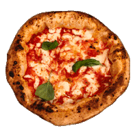 marioconson wow cool pizza italy Sticker