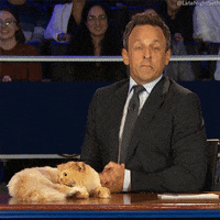 Seth Meyers Lol GIF by Late Night with Seth Meyers