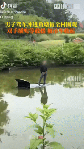 yj_jane giphyupload GIF