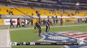 Pittsburgh Steelers Football GIF by NFL