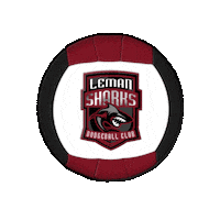 swissdodgeball sharks dodgeball swissdodgeball gimel Sticker