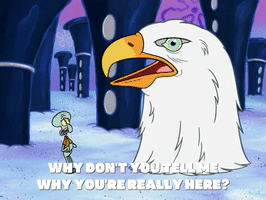 season 7 the curse of bikini bottom GIF by SpongeBob SquarePants