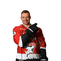 Goal Celebrate Sticker by Koelner Haie