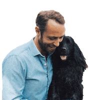 Cocker Spaniel Cute Dog Sticker by James & Ella