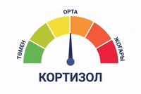 Қазақша Мемдер GIF