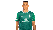 Swipe Up Maximilian Eggestein Sticker by SV Werder Bremen