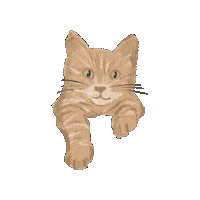 Cat Books Sticker by Pan Macmillan Australia