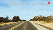 Best Friends Roadtrip GIF by BuzzFeed