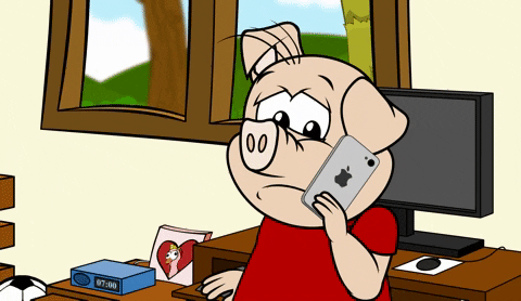 confused pig GIF by Estudios Animeco