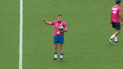 World Rugby Sport GIF by Rugby World Cup