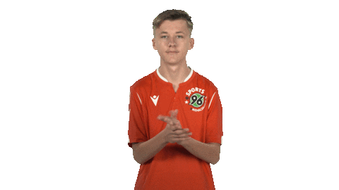 Hannover 96 Fifa Sticker by Bundesliga